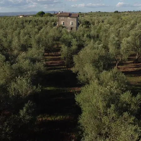Agriturismo I Due Casali * Vetralla