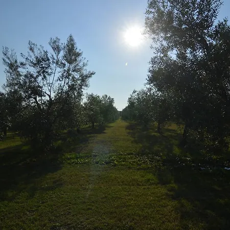 Farm stay Agriturismo I Due Casali *